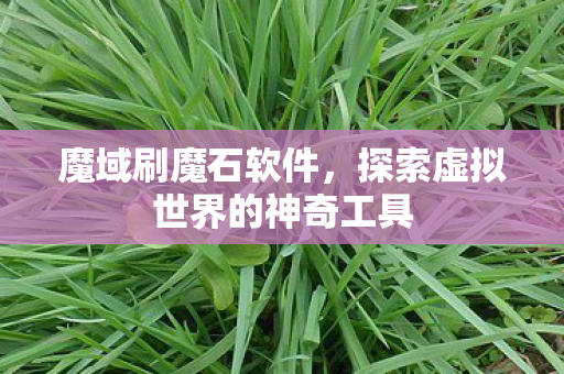探索虚拟世界的神奇工具图片