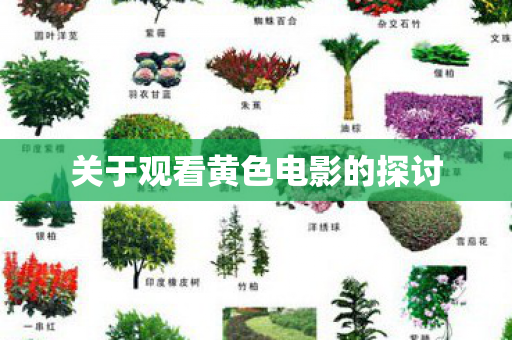 关于观看黄色电影的探讨图片