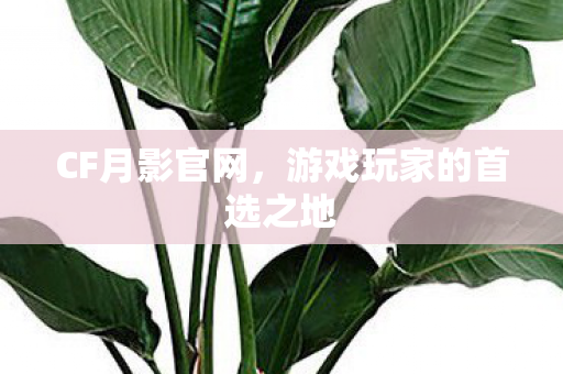 游戏玩家的首选之地图片