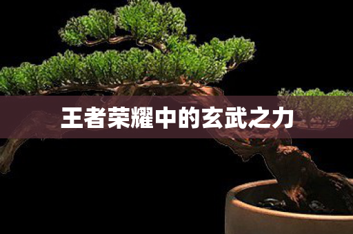 王者荣耀中的玄武之力图片