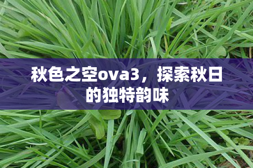 探索秋日的独特韵味图片