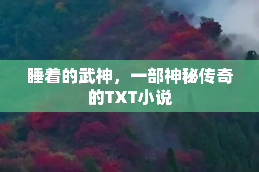 一部神秘传奇的TXT小说图片