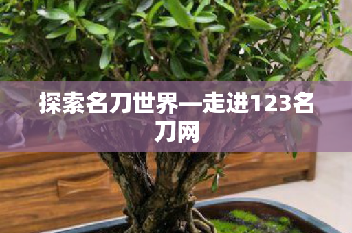 走进123名刀网图片