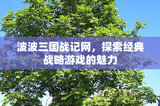 探索经典战略游戏的魅力图片