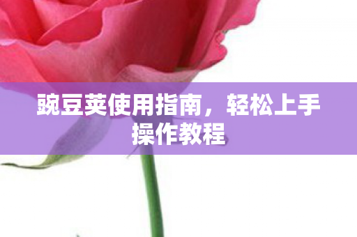 轻松上手操作教程图片