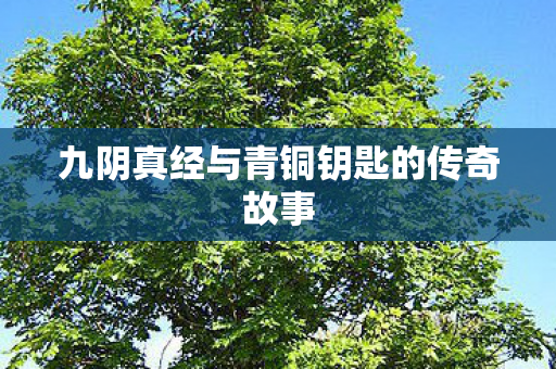 九阴真经与青铜钥匙的传奇故事图片