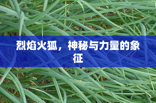 神秘与力量的象征图片