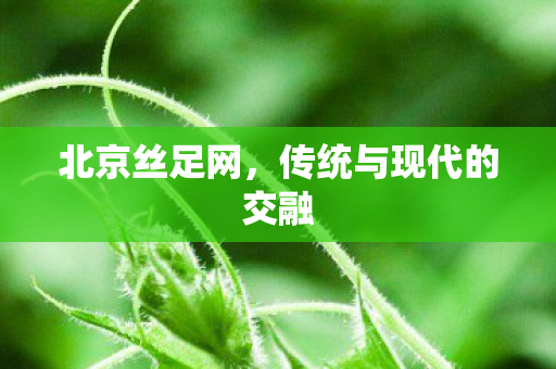 传统与现代的交融图片
