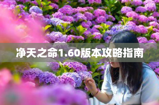 60版本攻略指南图片