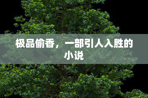 一部引人入胜的小说图片