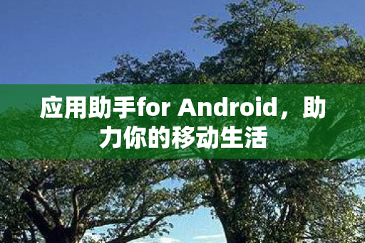 应用助手for Android图片