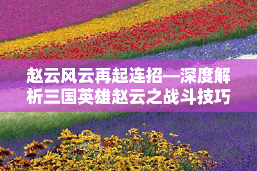 深度解析三国英雄赵云之战斗技巧图片
