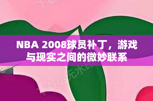 NBA 2008球员补丁图片