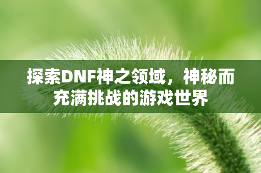 神秘而充满挑战的游戏世界图片