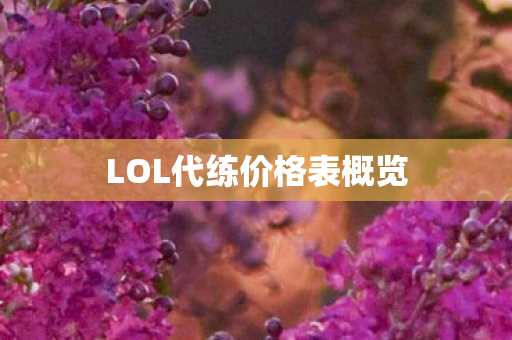 LOL代练价格表概览图片