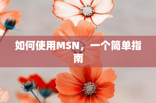 如何使用MSN图片