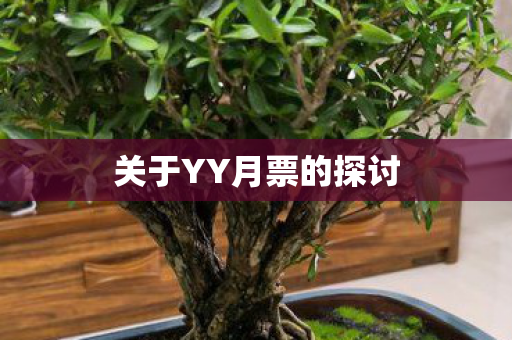 关于YY月票的探讨图片