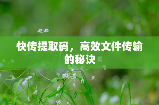 高效文件传输的秘诀图片