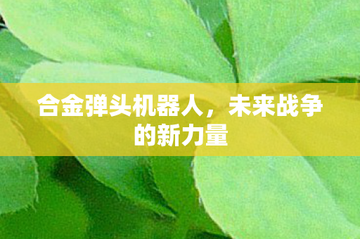 未来战争的新力量图片