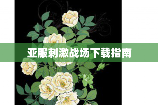 亚服刺激战场下载指南图片