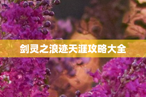 剑灵之浪迹天涯攻略大全图片