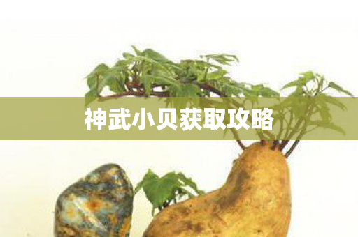 神武小贝获取攻略图片