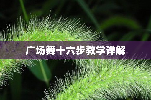 广场舞十六步教学详解图片