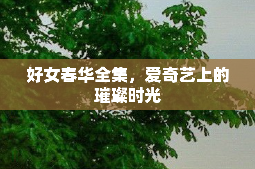 爱奇艺上的璀璨时光图片