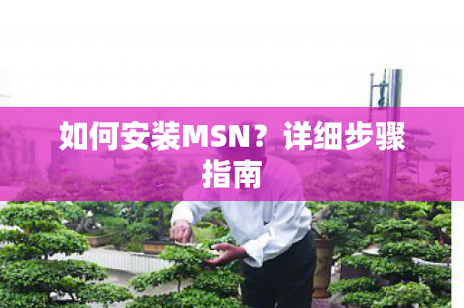 如何安装MSN图片