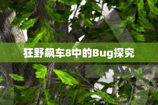 狂野飙车8中的Bug探究图片