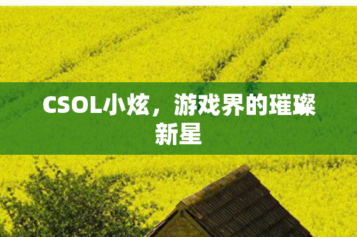 游戏界的璀璨新星图片