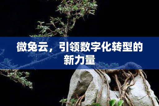 引领数字化转型的新力量图片