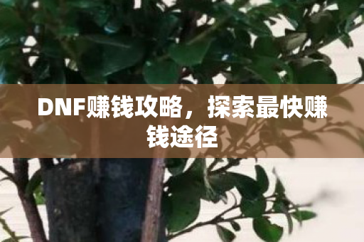 探索最快赚钱途径图片