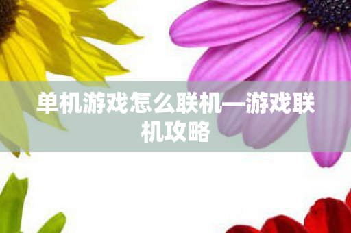 单机游戏怎么联机图片