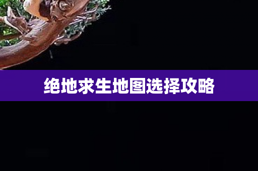绝地求生地图选择攻略图片