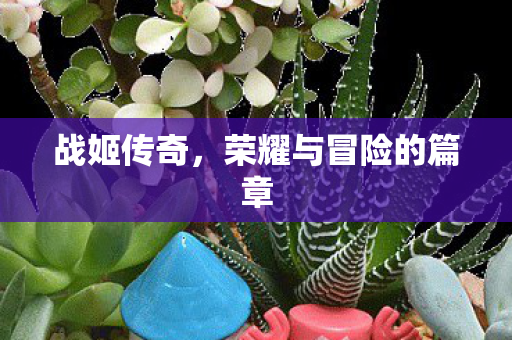 荣耀与冒险的篇章图片