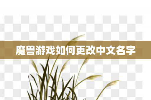 魔兽游戏如何更改中文名字图片