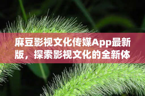 麻豆影视文化传媒App最新版图片