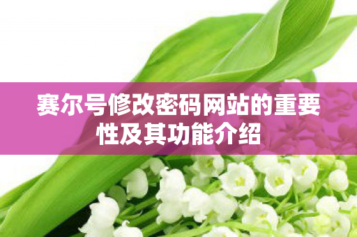 赛尔号修改密码网站的重要性及其功能介绍图片