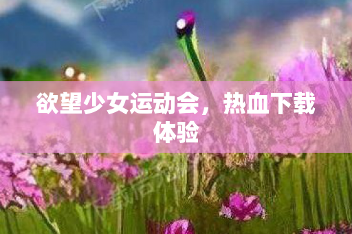 欲望少女运动会图片