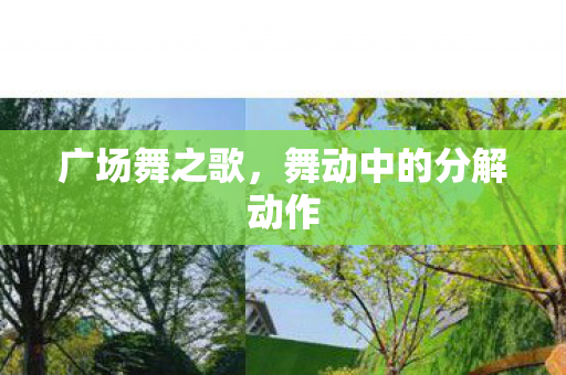 舞动中的分解动作图片