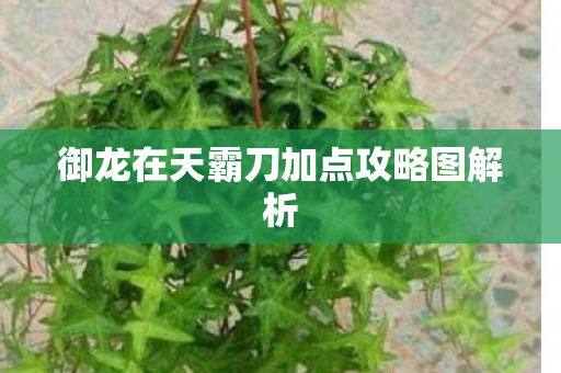 御龙在天霸刀加点攻略图解析图片