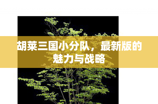 最新版的魅力与战略图片