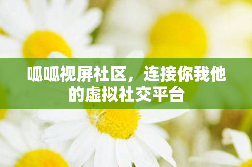 连接你我他的虚拟社交平台图片