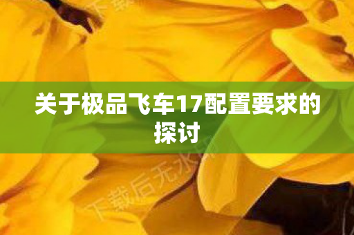 关于极品飞车17配置要求的探讨图片