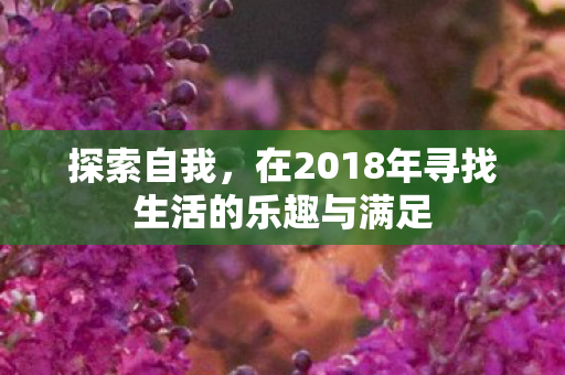 在2018年寻找生活的乐趣与满足图片