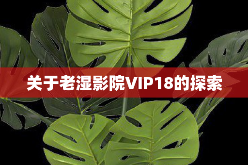 关于老湿影院VIP18的探索图片