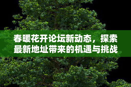 探索最新地址带来的机遇与挑战图片