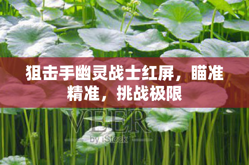 狙击手幽灵战士红屏图片