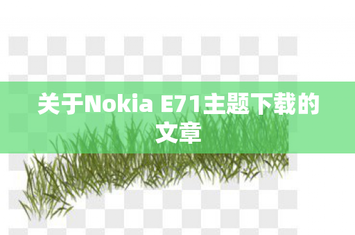 关于Nokia E71主题下载的文章图片